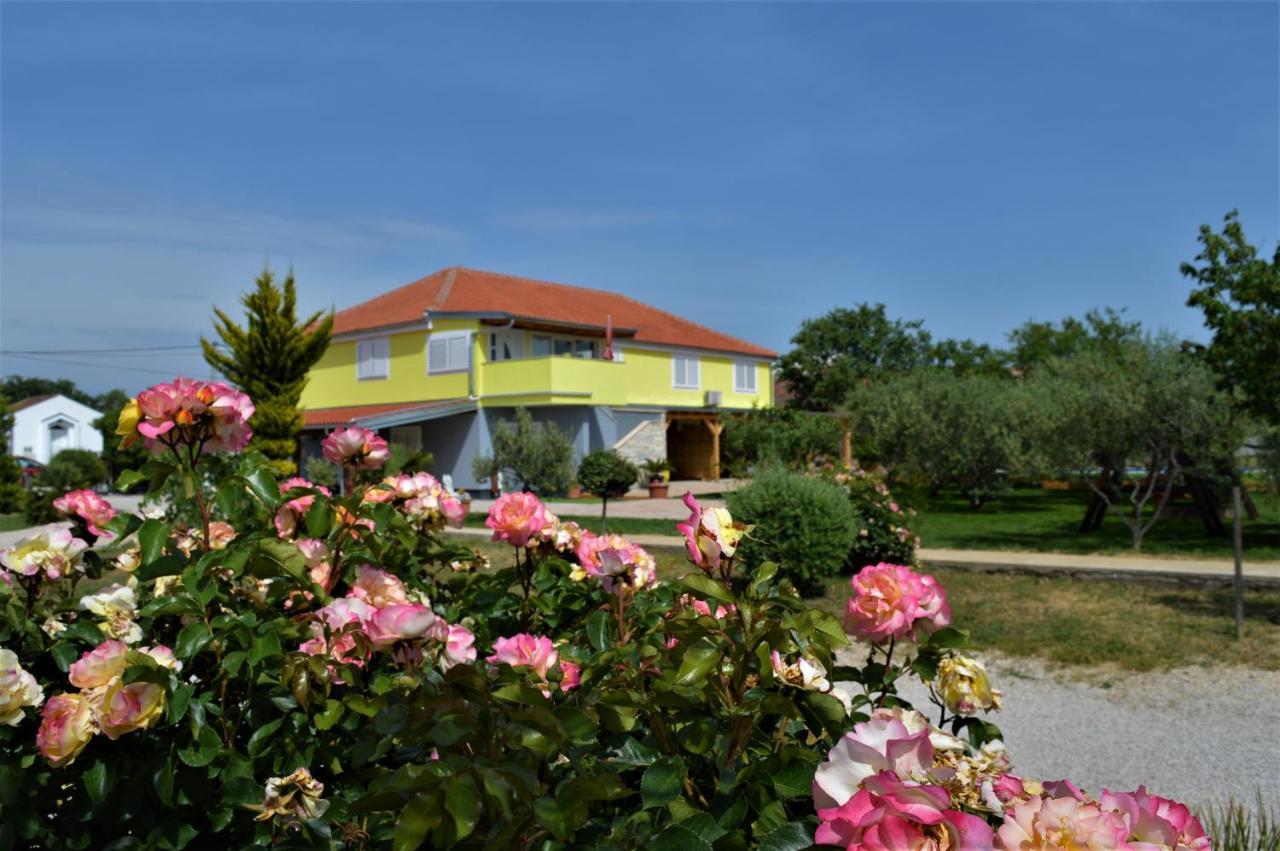 Studio Apartments Luka Biograd - Benkovac Exterior foto